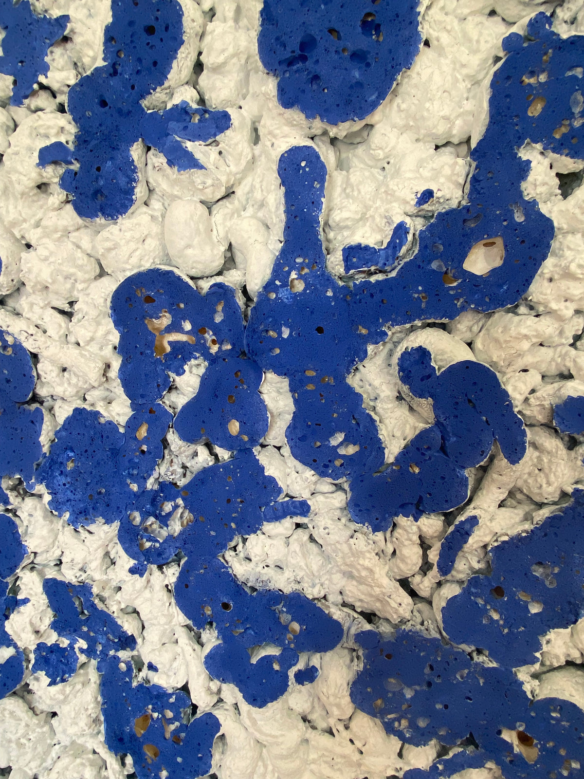 Expanding Foam